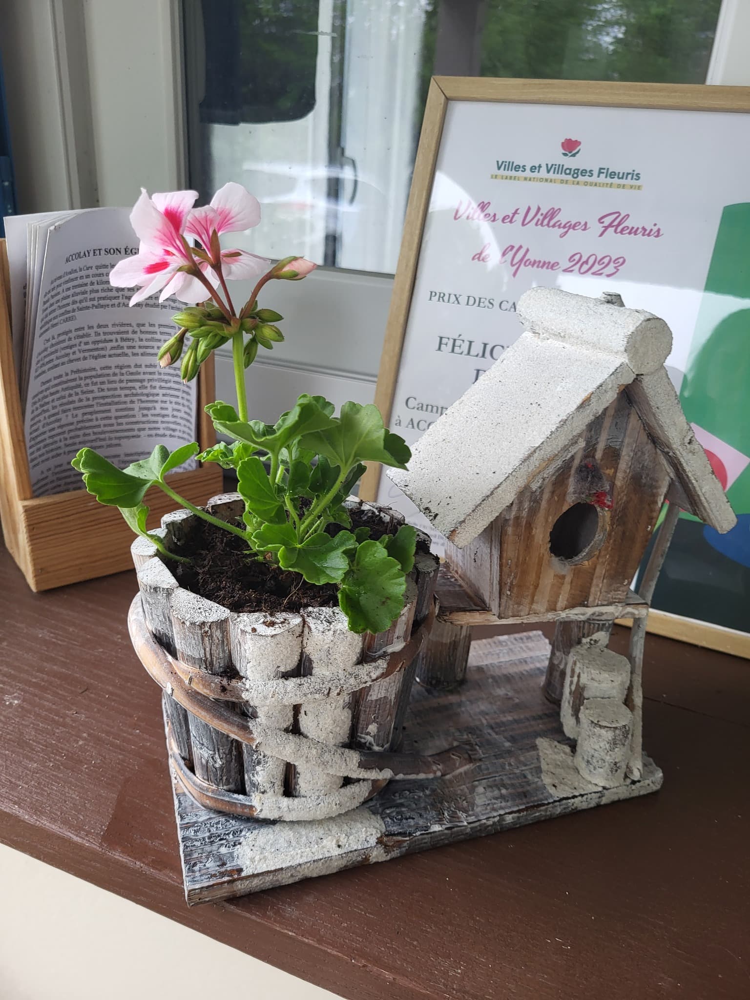 Tente confortable sous les arbres